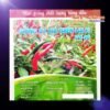 ca-canh-thuy-sinh-sinh-vat-canh-thu-nuoi-asda-la-han-rong-koi-phu-kien-ca-canh-phu-kien-thuy-sinh-do-choi-ca-canh-thuy-sinh-thuc-an-ca-canh-vat-nuoi-may-bom-ca-bien-cham-soc-cay-canh-815sfa7757557364