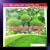 ca-canh-thuy-sinh-sinh-vat-canh-thu-nuoi-asda-la-han-rong-koi-phu-kien-ca-canh-phu-kien-thuy-sinh-do-choi-ca-canh-thuy-sinh-thuc-an-ca-canh-vat-nuoi-may-bom-ca-bien-cham-soc-cay-canh-815sfa7757557364ca-canh-thuy-sinh-sinh-vat-canh-thu-nuoi-asda-la-han-rong-koi-phu-kien-ca-canh-phu-kien-thuy-sinh-do-choi-ca-canh-thuy-sinh-thuc-an-ca-canh-vat-nuoi-may-bom-ca-bien-cham-soc-cay-canh-815sfa7757557364